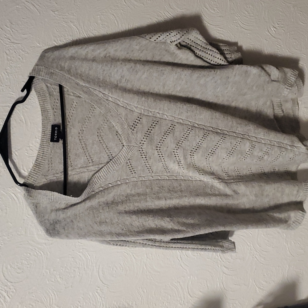 TORRID Light Gray V-Neck Sweater